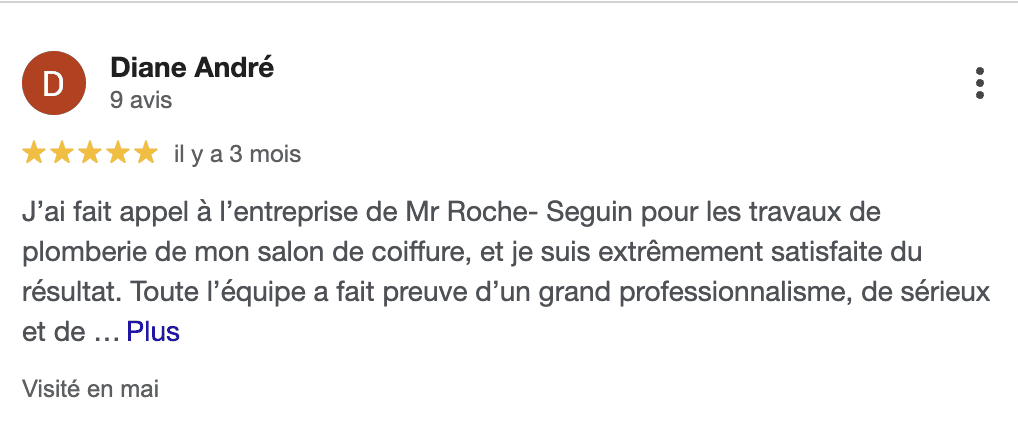 Avis client Roche-Seguin